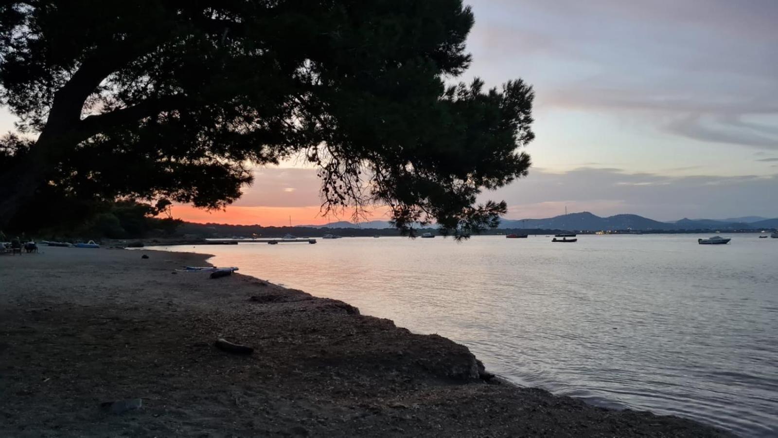 L'Instant Mer - Bord De Mer - Studio Avec Grand Jardin A La Capte Hyères Esterno foto